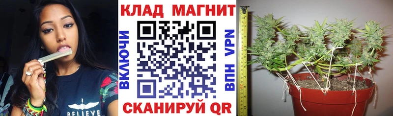 Купить закладку Амфетамин  Мефедрон  Гашиш  МАРИХУАНА  Мостовской