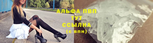 гашик Дмитриев