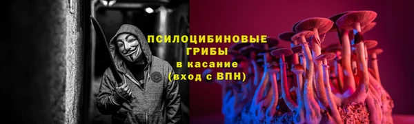 СК Гусев