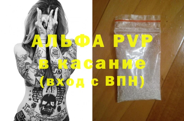 гашик Дмитриев