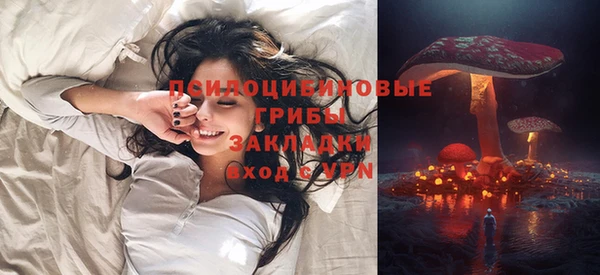 СК Гусев